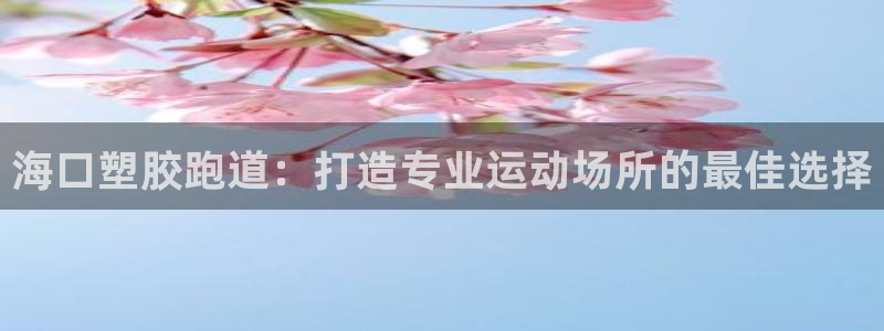 尊龙官方app下载：海口塑胶跑道：打造专业运动场所的