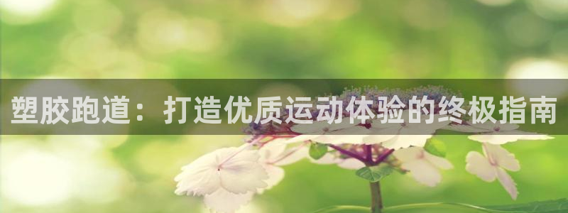 d88尊龙z6：塑胶跑道：打造优质运动体验的终极指南