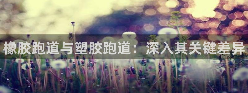 尊龙AG旗舰厅APP：橡胶跑道与塑胶跑道：深入其关键