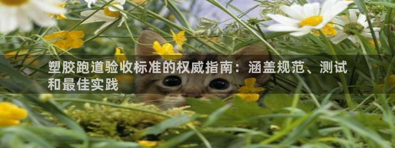 尊龙凯时app官网：塑胶跑道验收标准的权威指南：涵盖规范、测试
和最佳实践