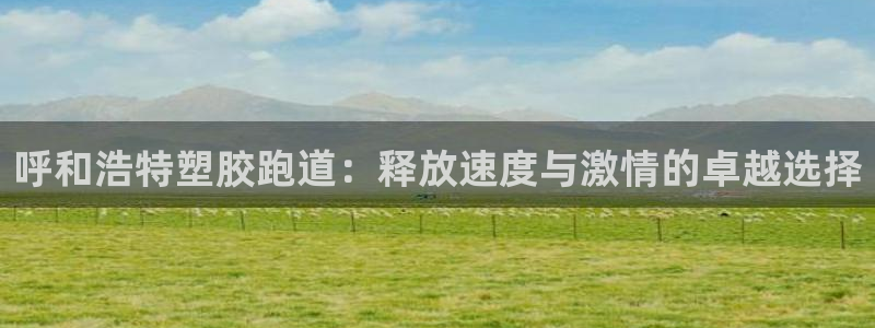 尊龙人生就是博官：呼和浩特塑胶跑道：释放速度与激情的