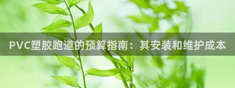 尊龙凯时 - 人生就是搏!：PVC塑胶跑道的预算指南