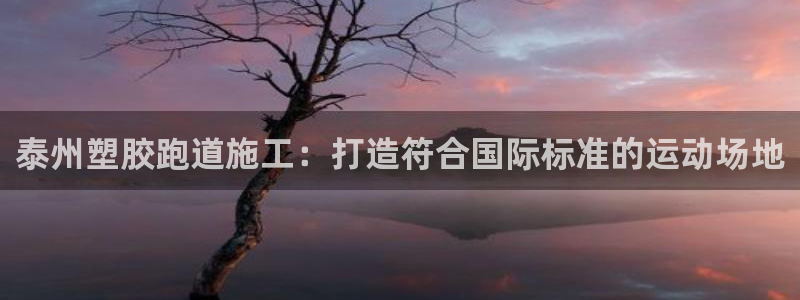尊龙凯时平台有没有不到账的：泰州塑胶跑道施工：打造符合国际标准的运动场地