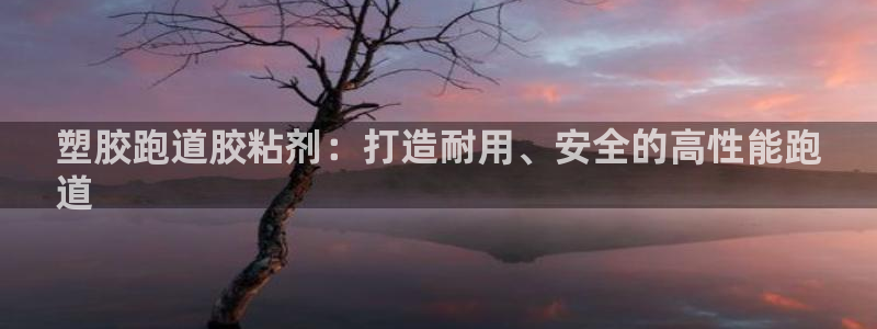 尊龙网址登录官网：塑胶跑道胶粘剂：打造耐用、安全的高性能跑
道