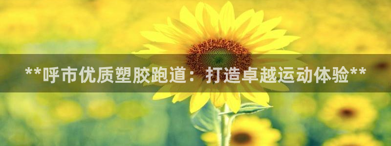 尊龙凯时总部在哪里：**呼市优质塑胶跑道：打造卓越运动体验**
