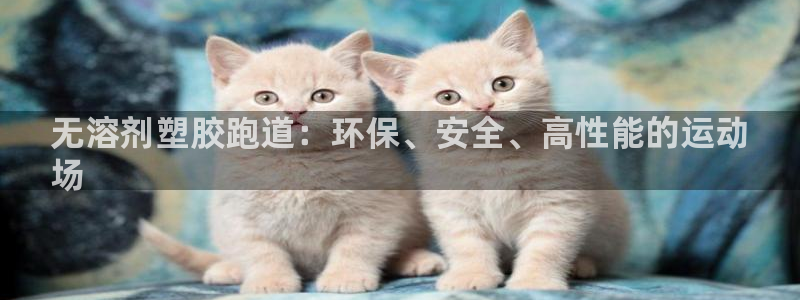 凯时首页登录：无溶剂塑胶跑道：环保、安全、高性能的运动
场