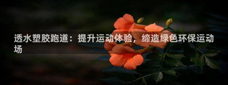 尊龙网站注册站注册：透水塑胶跑道：提升运动体验，缔造