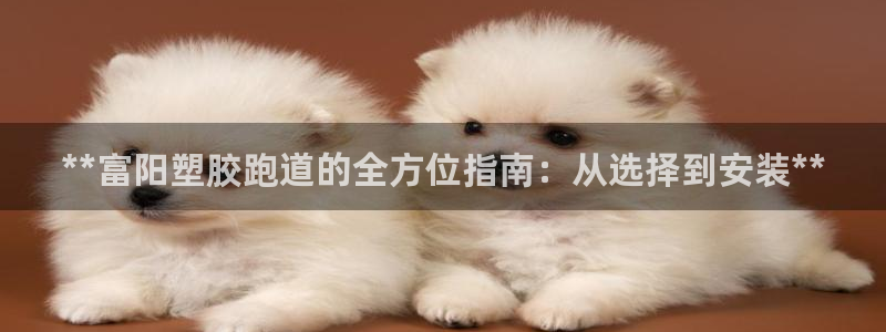 尊龙科技：**富阳塑胶跑道的全方位指南：从选择到安装**