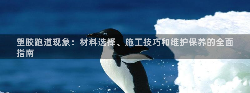 尊龙凯时 人生就是搏 平台：塑胶跑道现象：材料选择、施工技巧和维护保养的全面
指南
