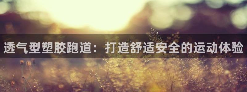 尊龙ag：透气型塑胶跑道：打造舒适安全的运动体验