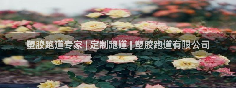凯时官网手机版首页：塑胶跑道专家 | 定制跑道 | 