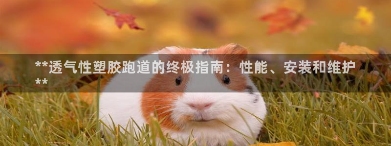 尊龙凯时网站是什么地方人开的：**透气性塑胶跑道的终