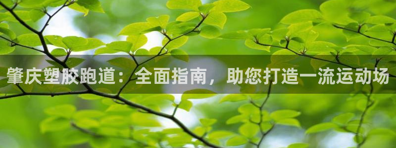 凯时登录：肇庆塑胶跑道：全面指南，助您打造一流运动场