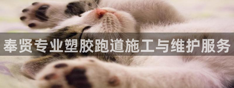 凯时app官方首页：奉贤专业塑胶跑道施工与维护服务