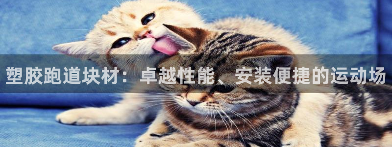 尊龙凯时app安装：塑胶跑道块材：卓越性能、安装便捷的运动场
