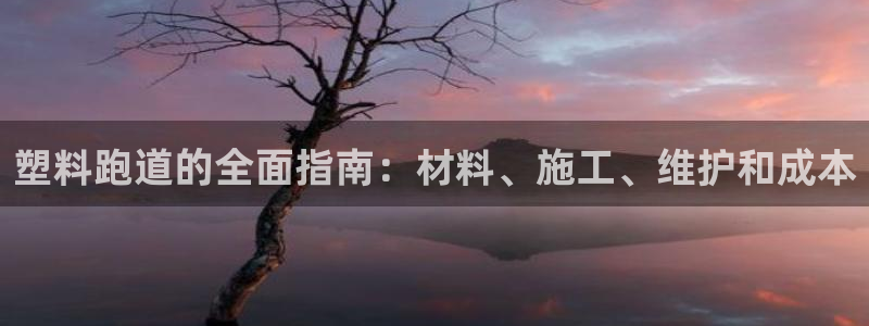 尊龙ag旗舰厅下载：塑料跑道的全面指南：材料、施工、维护和成本