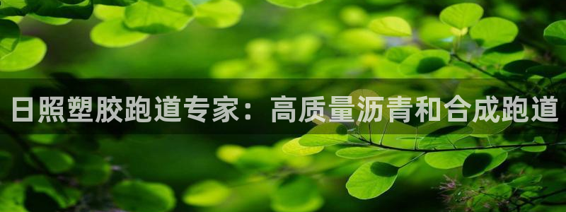 ZL尊龙凯时平台：日照塑胶跑道专家：高质量沥青和合成跑道