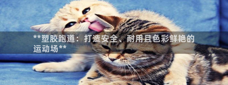 尊龙网站人生就是博：**塑胶跑道：打造安全、耐用且色彩鲜艳的
运动场**
