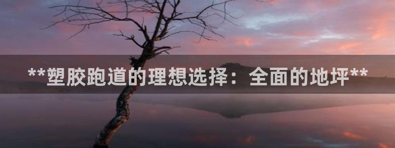 尊龙d88现金旧版本：**塑胶跑道的理想选择：全面的地坪**