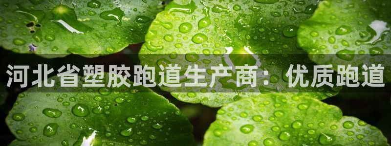 百度一下尊龙：河北省塑胶跑道生产商：优质跑道