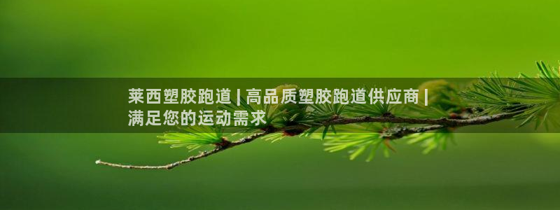z6尊龙z6：莱西塑胶跑道 | 高品质塑胶跑道供应商 | 
满足您的运动需求