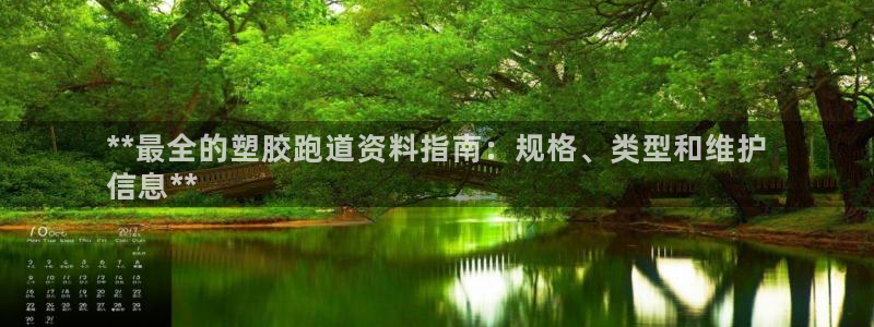 尊龙官方app下载：**最全的塑胶跑道资料指南：规格、类型和维护
信息**