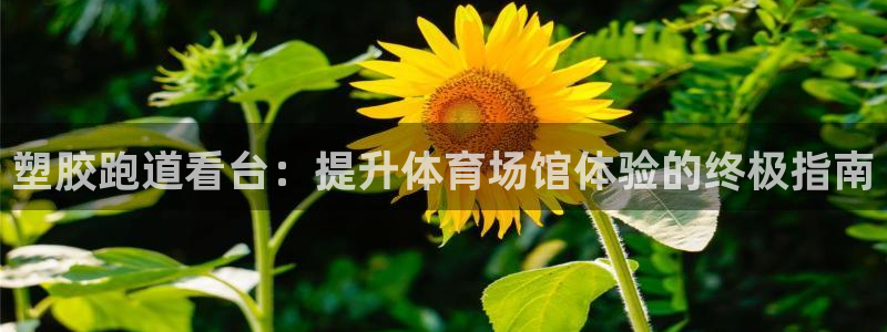 尊龙旗舰厅app：塑胶跑道看台：提升体育场馆体验的终