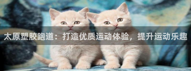 尊龙凯时注册：太原塑胶跑道：打造优质运动体验，提升运动乐趣
