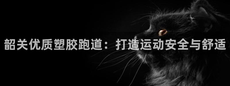 尊龙凯时网：韶关优质塑胶跑道：打造运动安全与舒适
