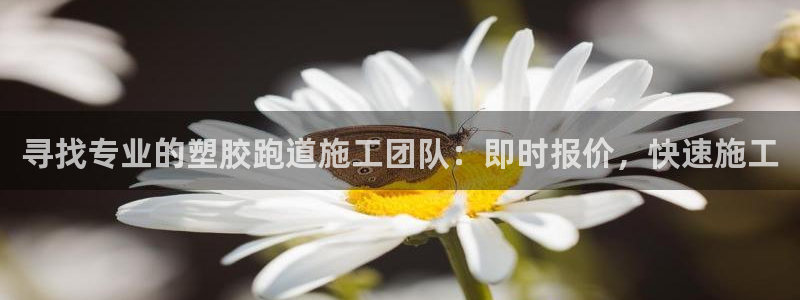 尊龙,人生就是搏：寻找专业的塑胶跑道施工团队：即时报价，快速施工