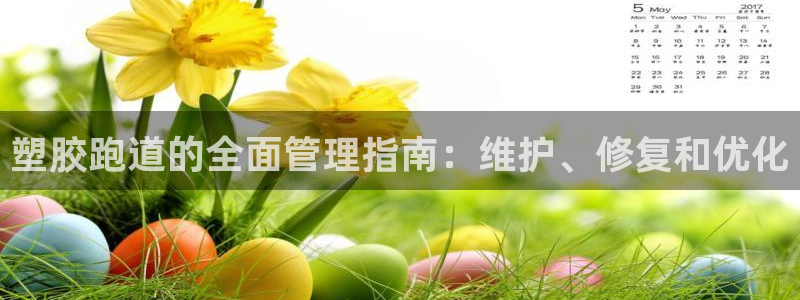 z6尊龙凯时官方：塑胶跑道的全面管理指南：维护、修复和优化