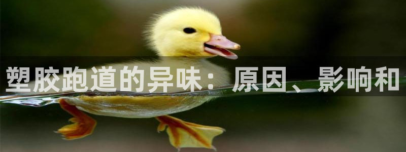 凯时k66官网登录：塑胶跑道的异味：原因、影响和
