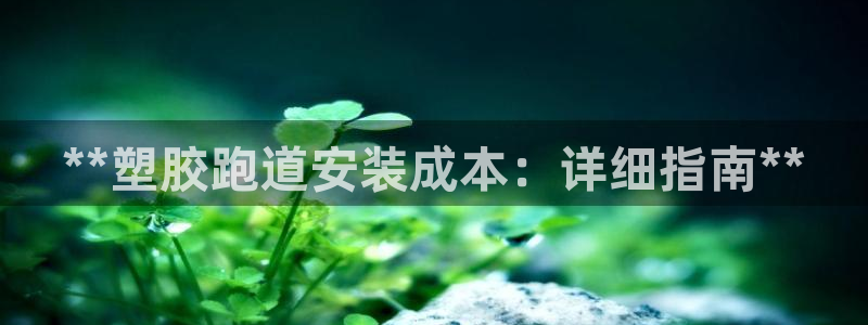 尊龙人生就是博：**塑胶跑道安装成本：详细指南**