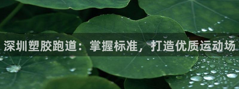 尊龙ag旗舰厅登陆：深圳塑胶跑道：掌握标准，打造优质运动场