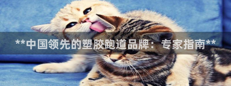 凯时官网下载客户端：**中国领先的塑胶跑道品牌：专家