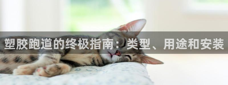 尊龙凯时开发：塑胶跑道的终极指南：类型、用途和安装