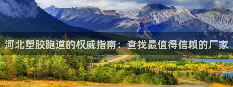尊龙2021年最新消息：河北塑胶跑道的权威指南：查找最值得信赖的厂家