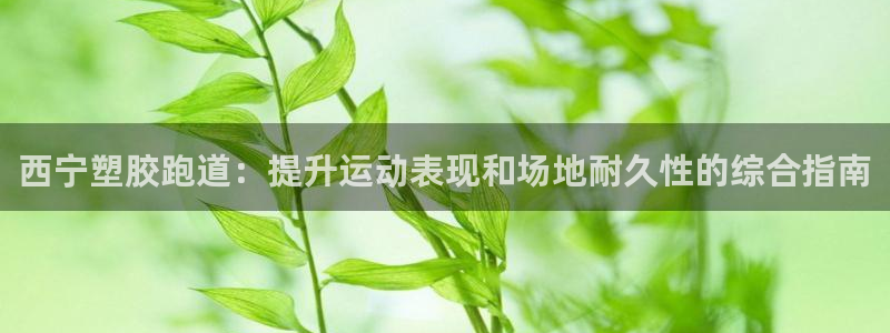尊龙凯时登录：西宁塑胶跑道：提升运动表现和场地耐久性
