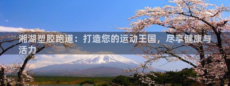 尊龙官网网页版：湘湖塑胶跑道：打造您的运动王国，尽享