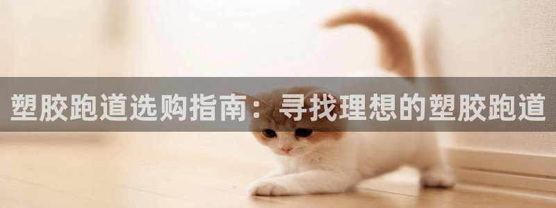 尊龙物流怎么样：塑胶跑道选购指南：寻找理想的塑胶跑道