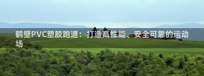 尊龙凯时的企业文化：鹤壁PVC塑胶跑道：打造高性能、安全可靠的运动
场