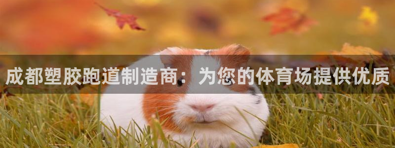 尊龙APP客户端平台：成都塑胶跑道制造商：为您的体育场提供优质