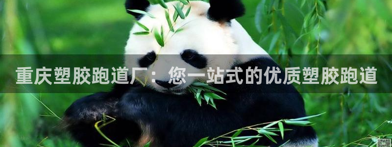 尊龙凯时官网网页版：重庆塑胶跑道厂：您一站式的优质塑胶跑道
