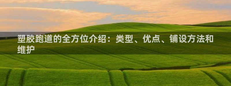尊龙官网手机版：塑胶跑道的全方位介绍：类型、优点、铺设方法和
维护