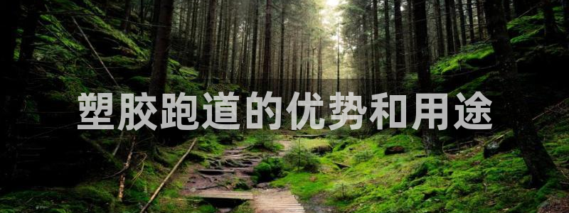 尊龙人生就是博旧版现：塑胶跑道的优势和用途