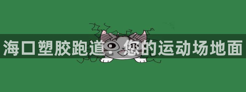 尊龙传奇英文怎么写：海口塑胶跑道：您的运动场地面