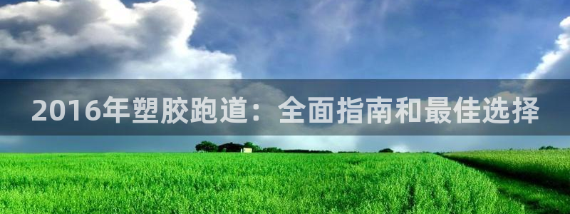 尊龙凯时官网登录入口：2016年塑胶跑道：全面指南和