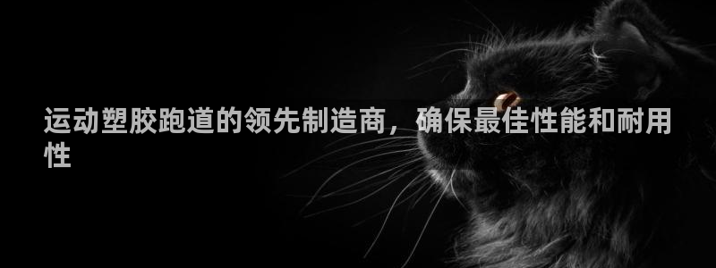 尊龙登录：运动塑胶跑道的领先制造商，确保最佳性能和耐用
性