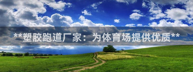 尊龙凯时投诉最狠的方法：**塑胶跑道厂家：为体育场提供优质**
