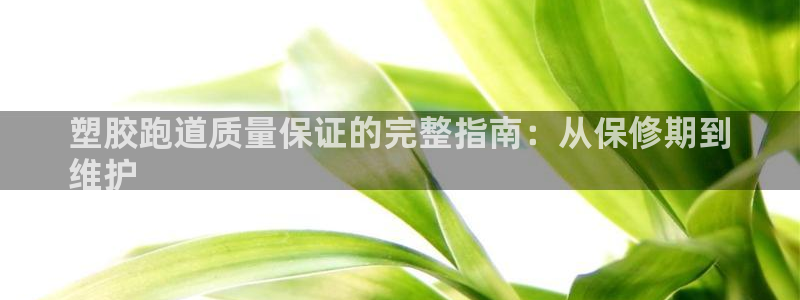 尊龙凯时注册地址：塑胶跑道质量保证的完整指南：从保修期到
维护